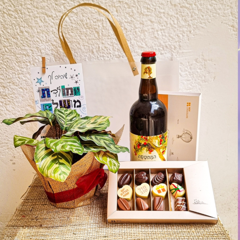 מארז יום הולדת עם עציץ, אלכוהול ושוקולד פרימיום